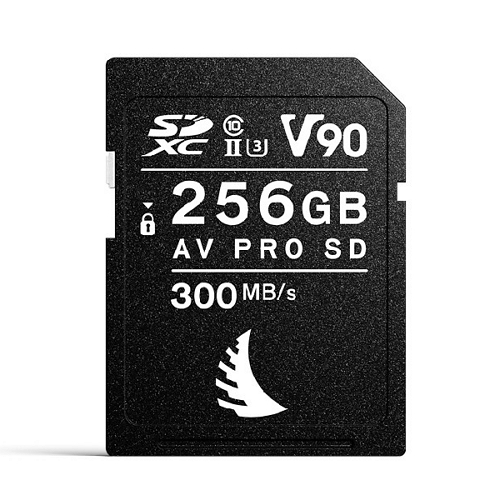 엔젤버드 SD AV PRO MK2 V90 (256GB)
