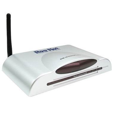 SAYTEC ���� RW-IPG500 Plus ������������