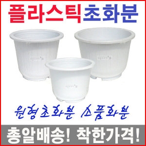 화분프라자 초화분/미니/소품/소형/씨앗/블루베리/플라스틱화분
