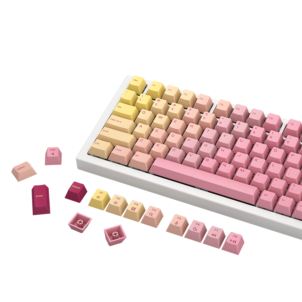 �۷θ�� GPBT GRAPEFRUIT Űĸ ��Ʈ