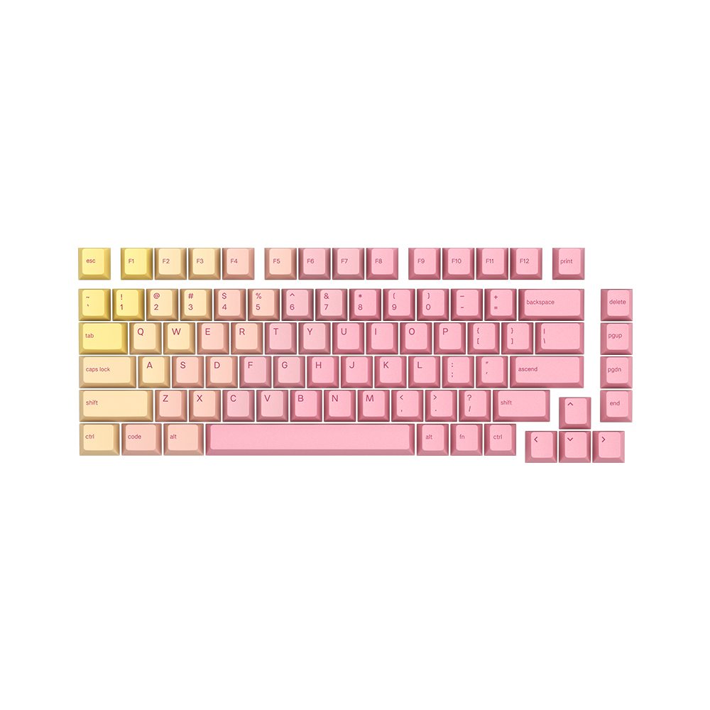 �۷θ�� GPBT GRAPEFRUIT Űĸ ��Ʈ