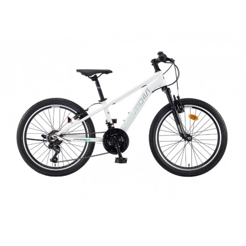 ��õ�������� ���ȶ�ġ�� M JR 22 (2026����)