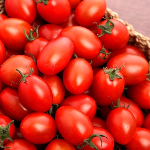 빛가득 대추방울토마토 750g 1팩 특