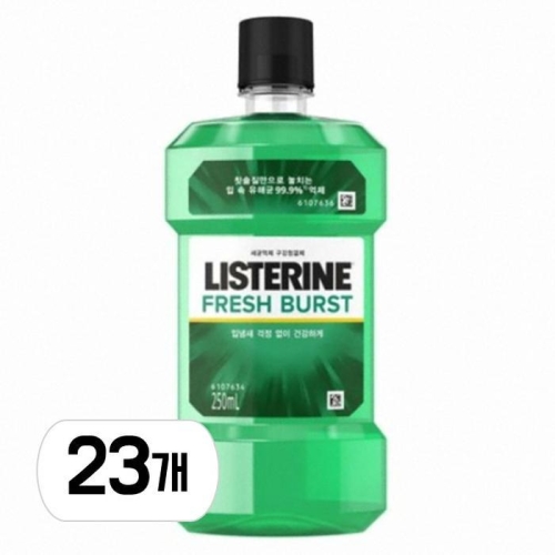 존슨앤존슨 리스테린 후레쉬 버스트 250ml (23개)