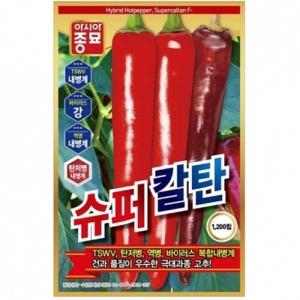 고추씨앗종자 슈퍼칼탄 1200립