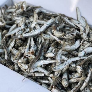 신건호멸치 다시멸치 특가형 1.5kg