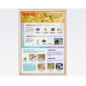 사이언스119 화석이란 2 /JS-9873/교과서실험/과학