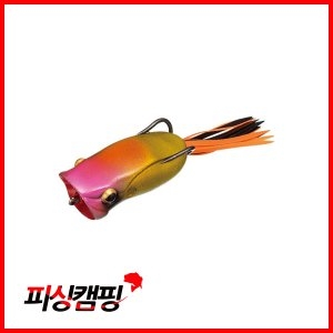 에버그린 포퍼 프로그