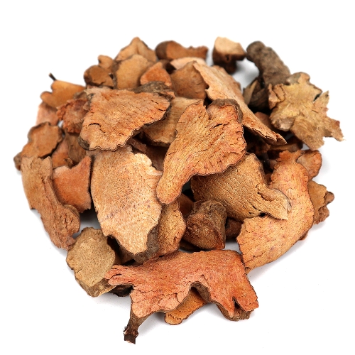 ����� �ڿ��� �亹�� ���������Ѹ� 600g
