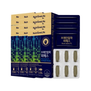 뉴트리원 브레인알파 피에스 800mg 30캡슐 (12개)_이미지