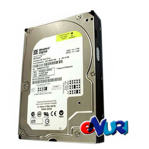 Western Digital  BLUE E-IDE [WD2500JB, 250GB] 상품이미지