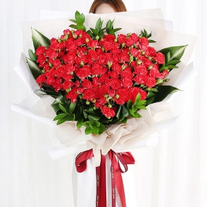 �����ö�� ��� �ɴٹ� ��ȭ �����̴� �ɹ�� C573