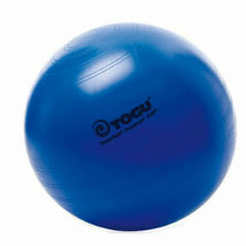 파워볼 프리미엄 ABS 짐볼 45cm