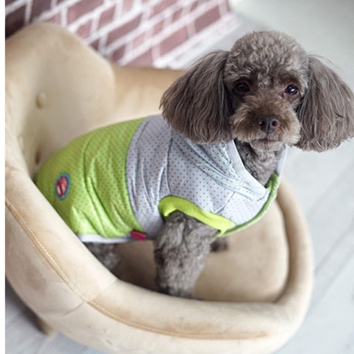 패리스독 쁘띠 도트패딩 그레이그린이미지입니다. 누르면 해당 게시물로 새창이동합니다.