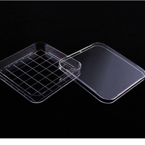 오피스안 Square Dish 세포배양접시 1pcs 사각배양접시 h12125 미생물배양접시_이미지