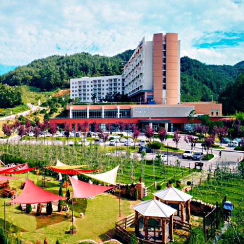 �Լҳ뺧 û�� (���)