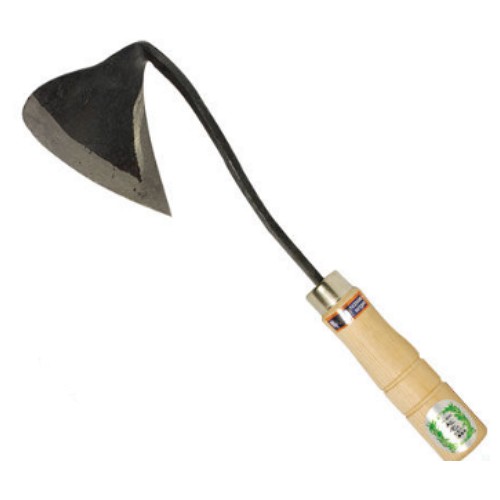 ��� ���� ȣ��