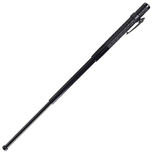 ASP P21 Protector_이미지