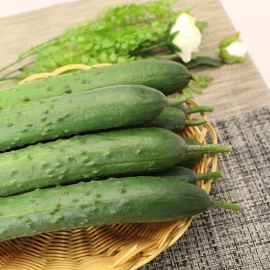 자연대로팜웨이 취청오이 상 10kg (1개)_이미지