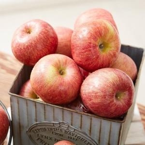산지직송 고랭지 경북 영주 풍기 못난이 금계사과 10kg 사이즈 랜덤