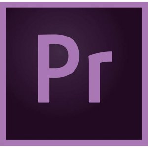 Adobe Premiere Pro CC 기업용 (1년 라이선스)_이미지