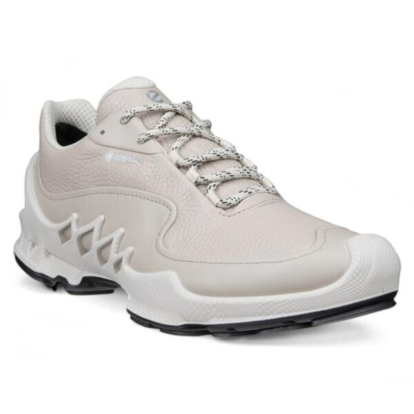 ���� ���� ���̿� AEX GTX W_802893-61524