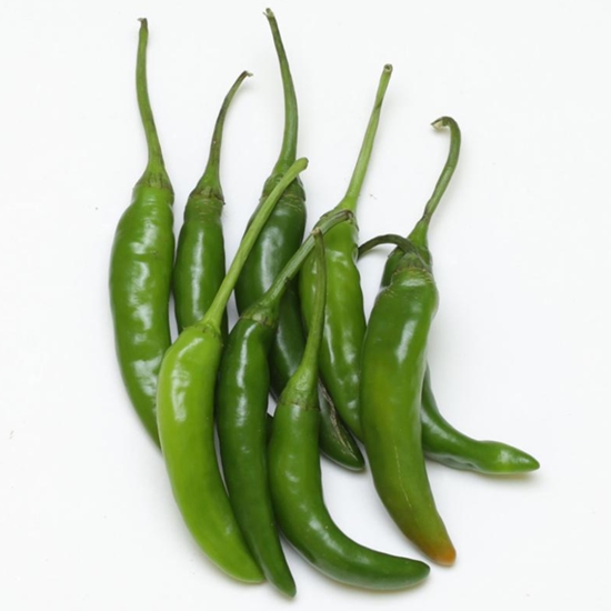 청양고추 상 10kg