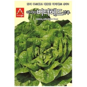 아시아종묘 상추씨앗종자 버터헤드 100립