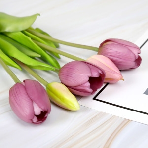 ����Ȩ ���� ƫ�� ���� ��ȭ���� ���׸��� ��ȭ 5���� ��ũ�ö��