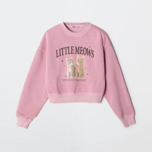 �Ǳ׸�Ʈ ���Ŀ� SPAO CAT ũ�� ����Ʈ����_SPMNF49G72 SPMNF49G72 116388 60 CHARCOAL S 085