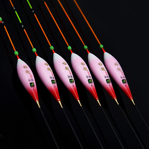 다이나미스 아취 홍조 민물 나노찌