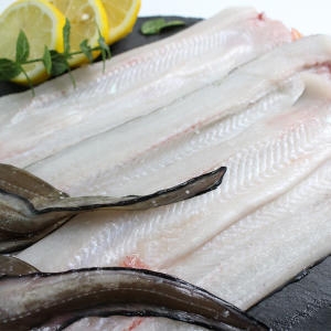 친환경팔도 통영 흑산도 바다장어 중 1kg (1개)_이미지