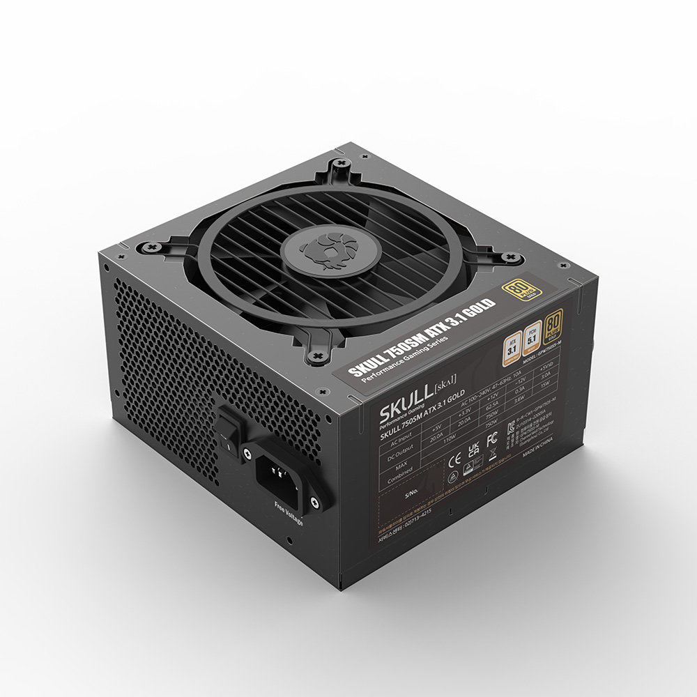 NEWZEN SKULL 750SM ��ⷯ ATX3.1 80PLUS���