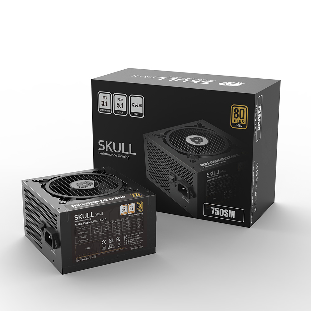 NEWZEN SKULL 750SM ��ⷯ ATX3.1 80PLUS���