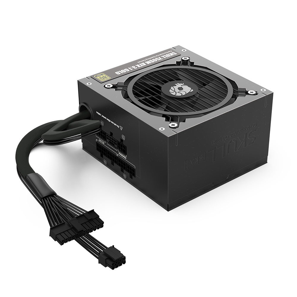 NEWZEN SKULL 750SM ��ⷯ ATX3.1 80PLUS���