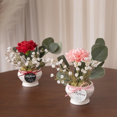 드라이 카네이션 화분set 17cm P2 조화 어버이날 스승의날 선물 감사 FAICFT 기분좋은 상상에너지
