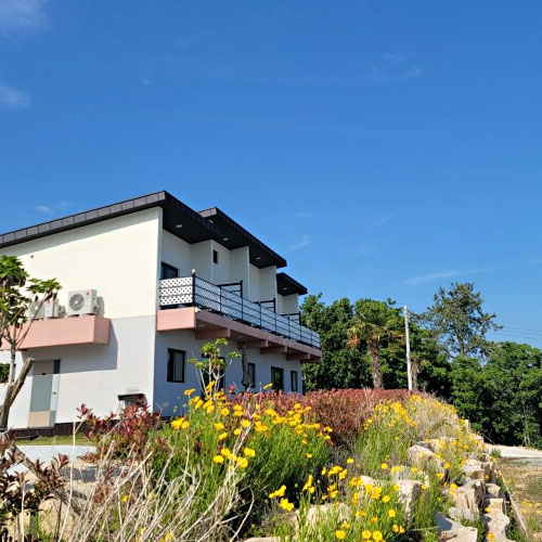 �԰��� ������� (����)