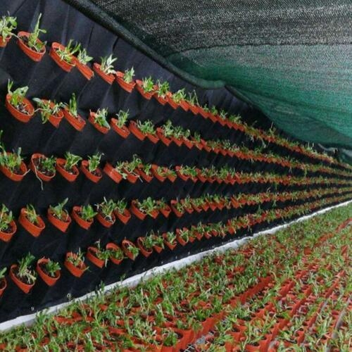 실내정원 행잉 부직포 벽화분 18포켓 벽걸이 수직정원_이미지