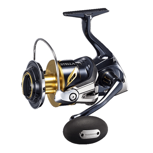 �ø��� ���ڶ� SW 8000HG, 2019����