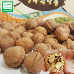 친환경팔도 생산자직송 무농약 영동 햇 호두 피호두 1kg+호두망치 증정_이미지