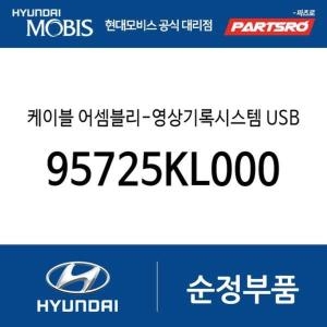  현대모비스 케이블-영상기록시스템 USB 95725KL000 아이오닉6