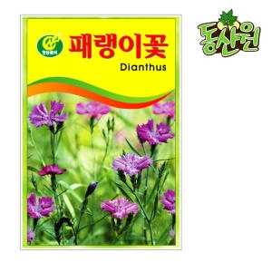 패랭이씨앗 패랭이씨 패랭이 꽃씨앗 패랭이꽃씨