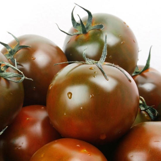 ���ϳ��� ������ 2kg