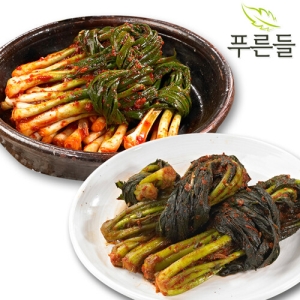 푸른들 전라남도 함평김치 / 파김치 1kg + 여수갓김치 1kg_이미지