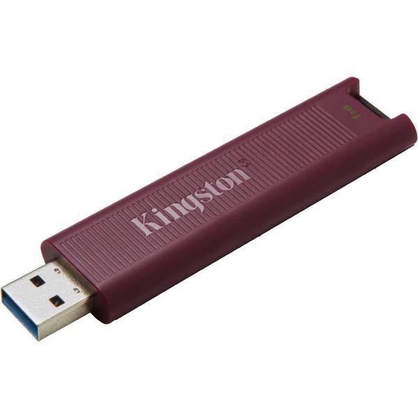 킹스톤 DataTraveler Max 해외구매 (256GB)_이미지