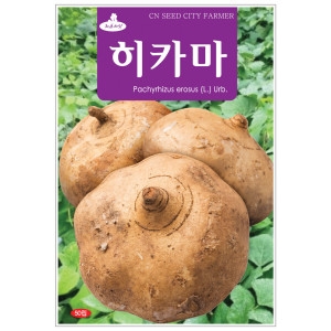 청농종묘 히카마 씨앗 50립이미지입니다. 누르면 해당 게시물로 새창이동합니다.