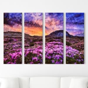 �ٹ� cw649-ö�����Ѷ���ǹ�ϴ�_�׸�_�����������Ӽ�Ʈ