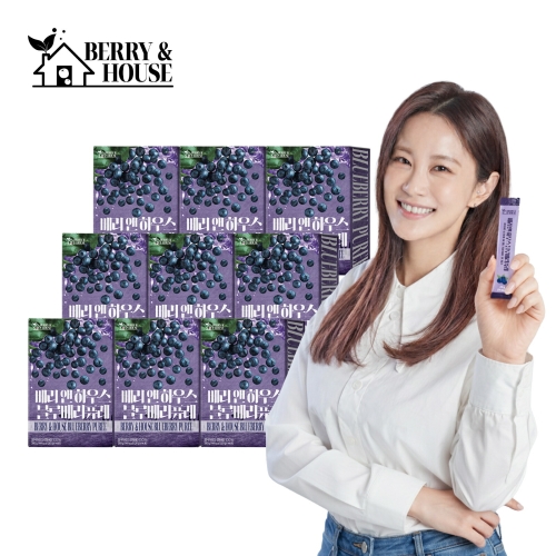 와이케이컴퍼니 베리앤하우스 블루베리 퓨레 20g 14포 (9개)_이미지