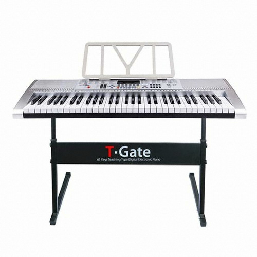 ���̰���Ʈ T-Gate ������ ������ �ǾƳ� TYPE D Classic