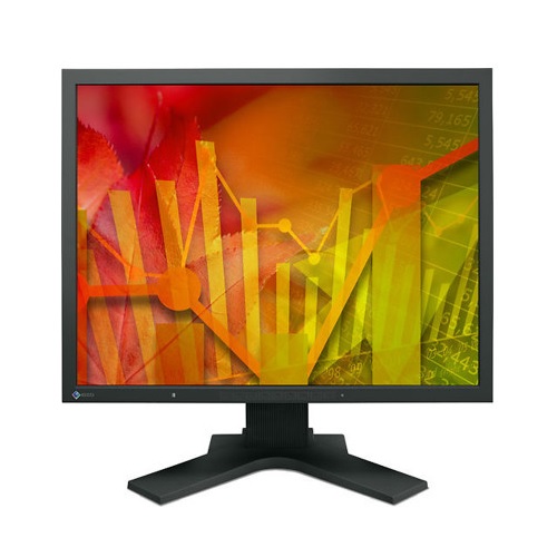 EIZO FlexScan S2134